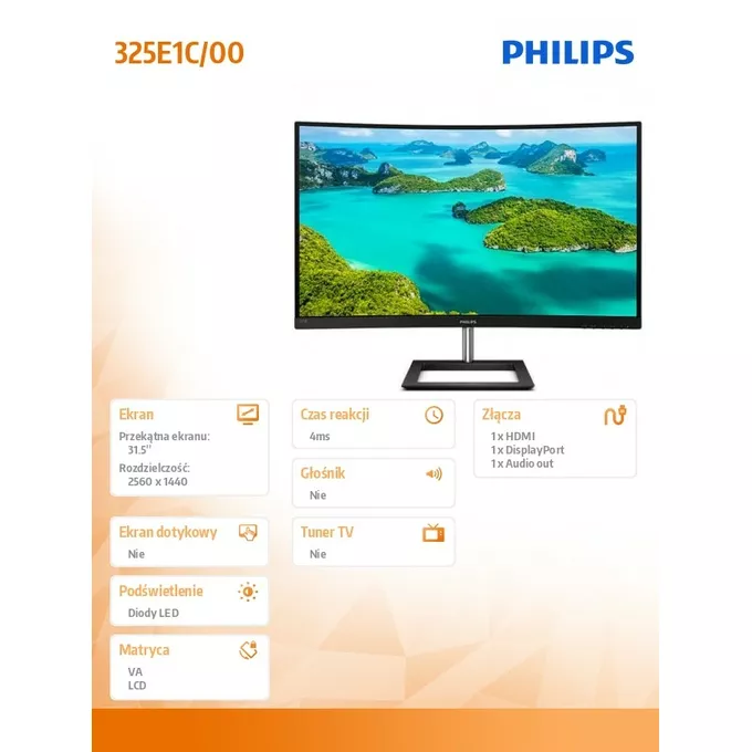 Philips Monitor 325E1C 31.5 cala Curved VA HDMI DP