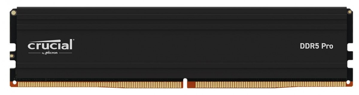 Crucial Pamięć DDR5 Pro 32GB/ 5600(1*32GB) CL46