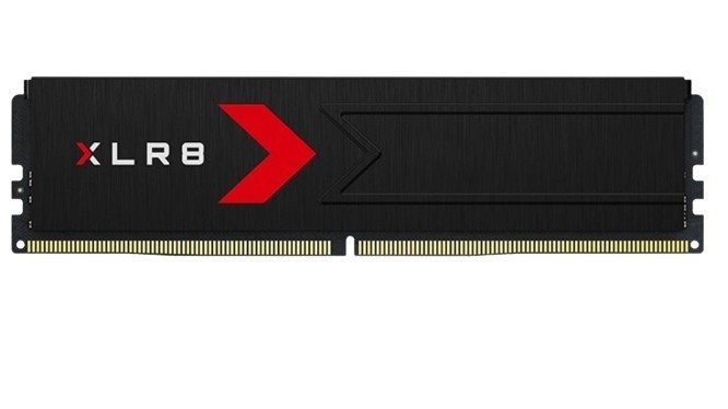 PNY Pamięć DDR5 16GB 5600 C36 MD16GSD5560036XR-BLK BULK