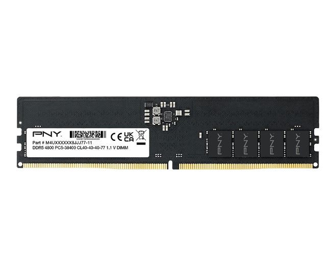 PNY Pamięć 8GB DDR5 4800MHz ECC MD8GSD54800-TB-Zdjęcie-0
